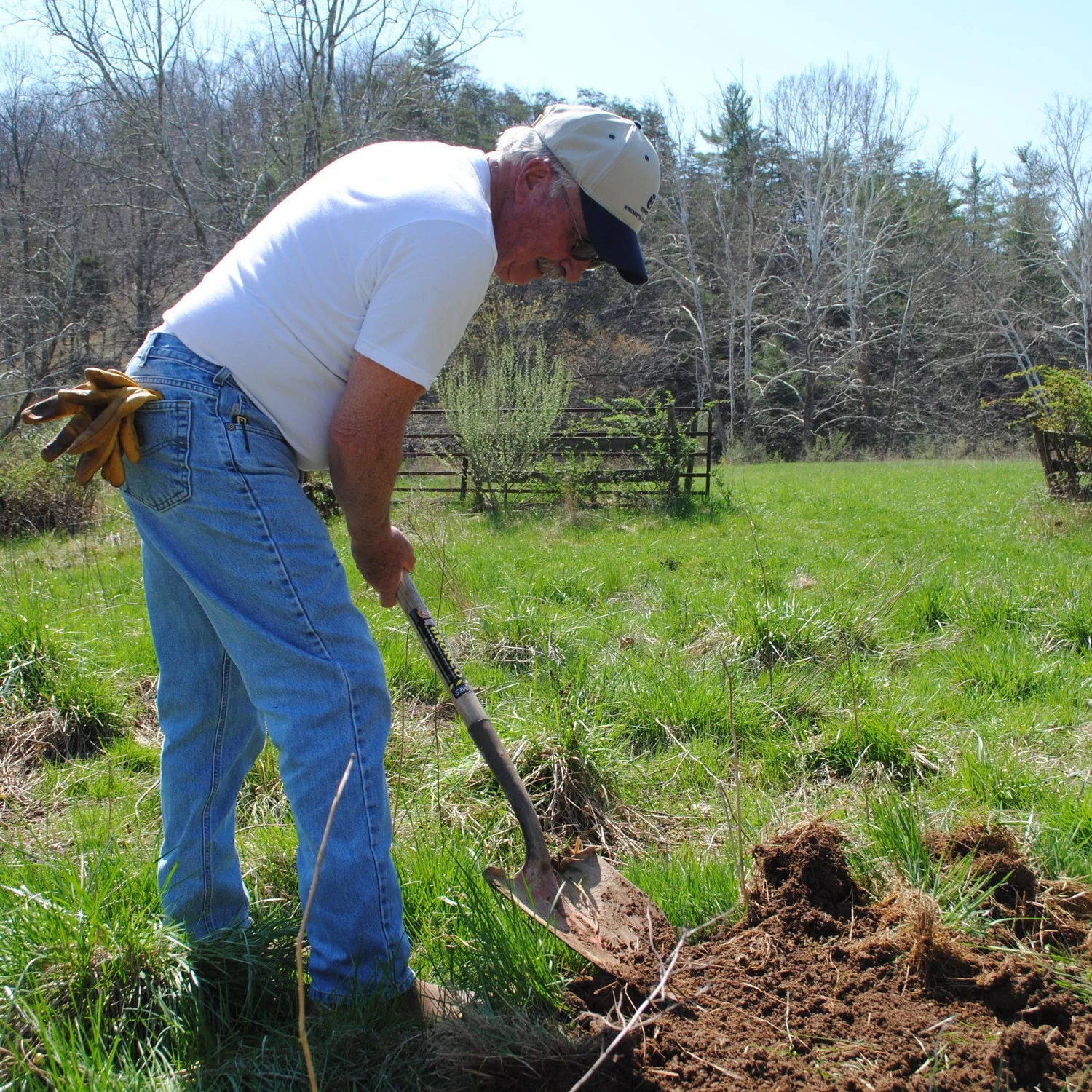 Photo Essay: Conservation Appreciation Along Hogue Creek