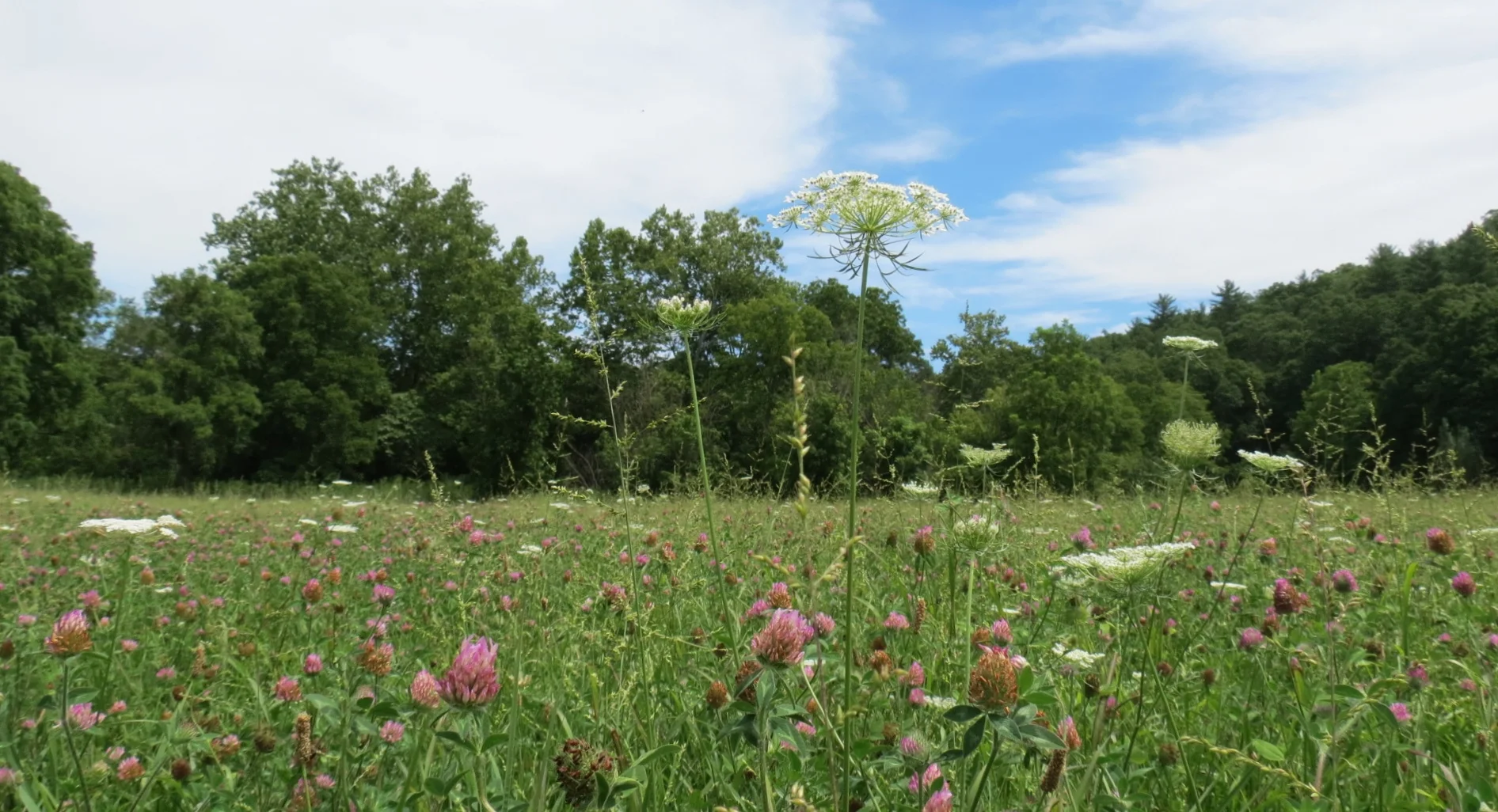 Photo Essay: The Value of Natural Habitats