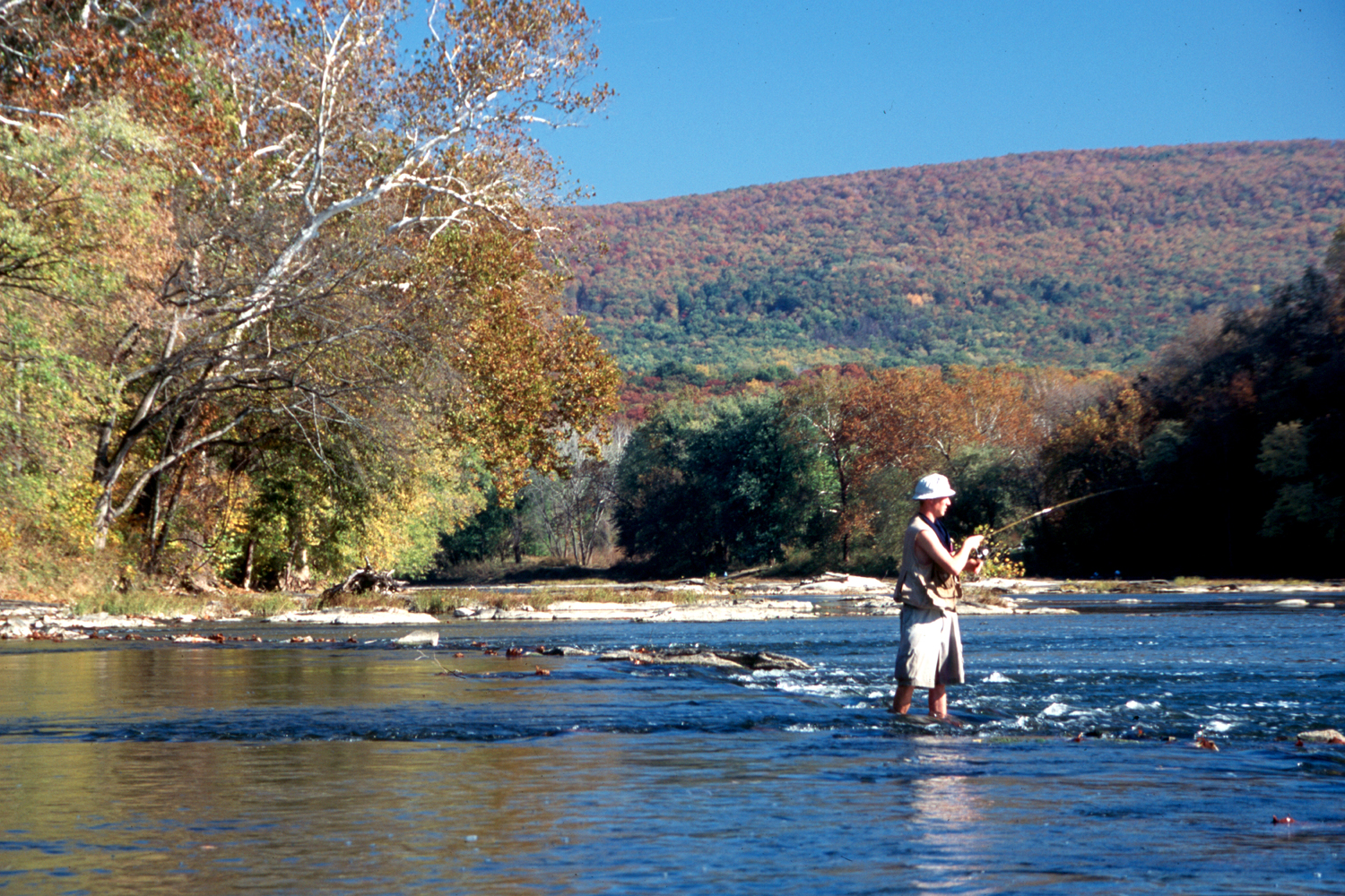 shenandoah - ed neville 41 - flyfishing.JPG