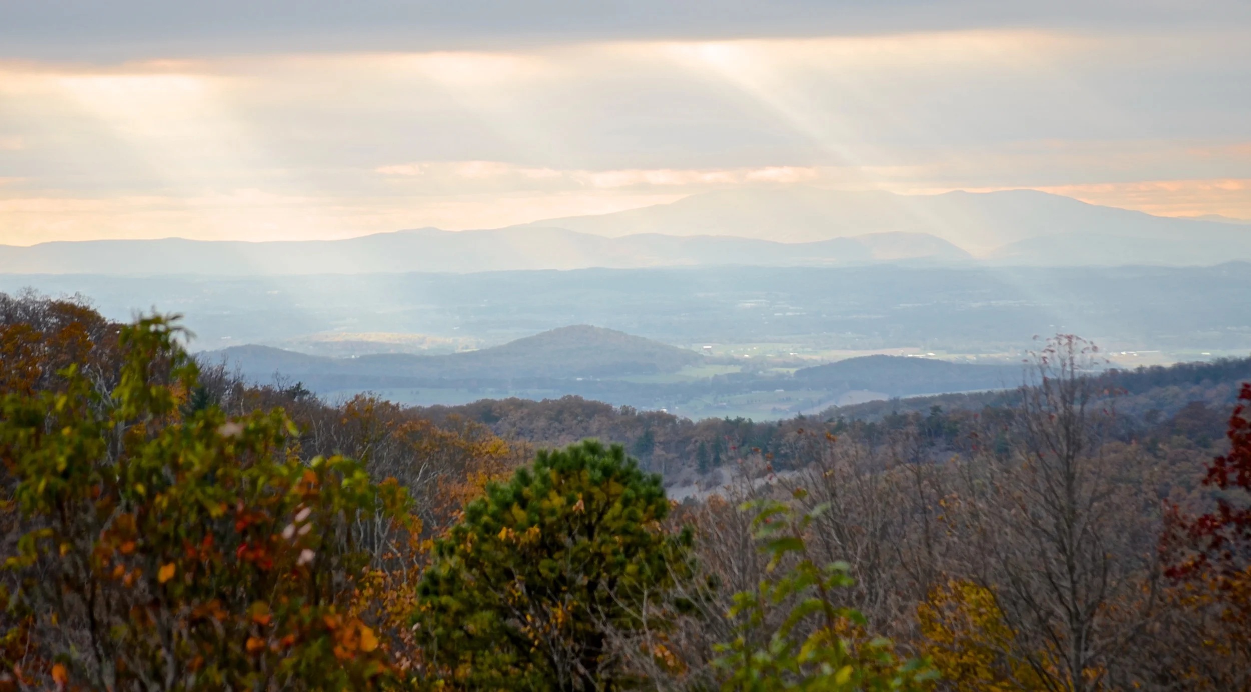 Photo by David McSpadden via Creative Commons
