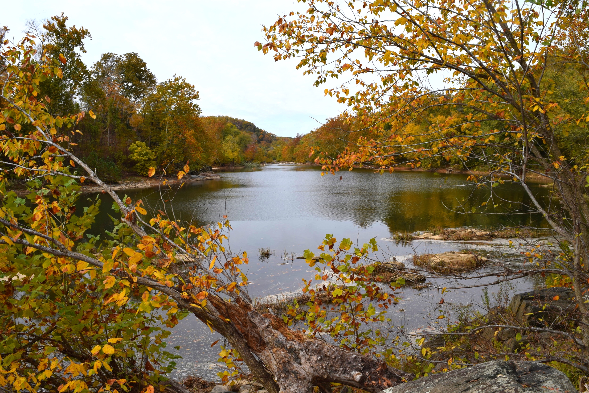  Fall along the Potomac River.&nbsp; 