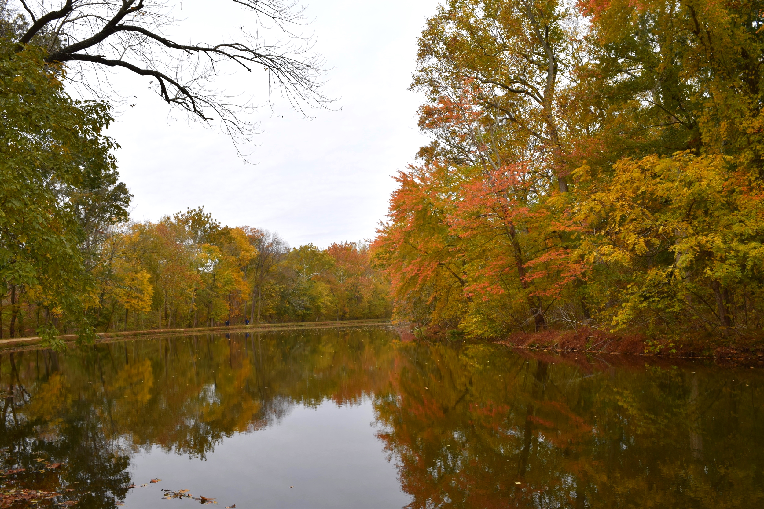  Fall along the Potomac River. 