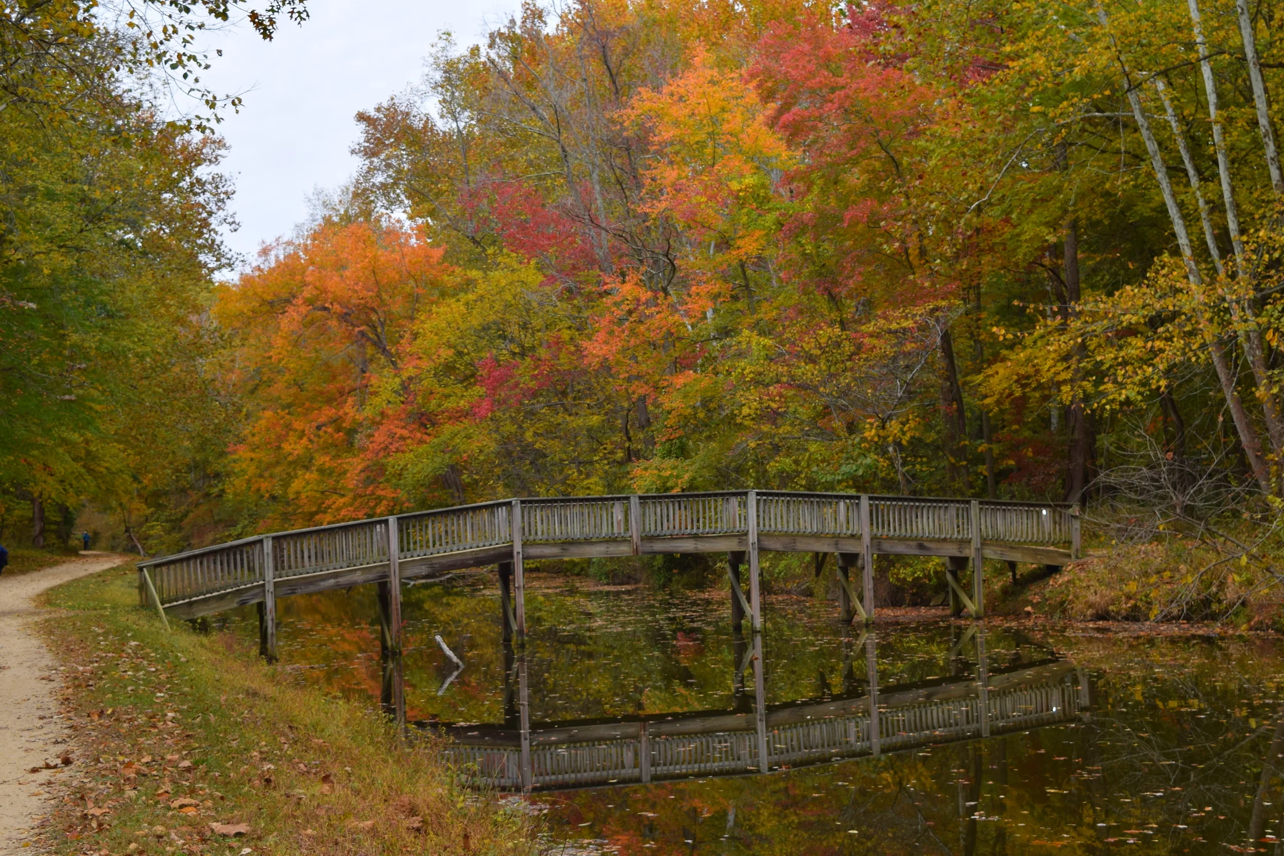 C&O Canal bridge
