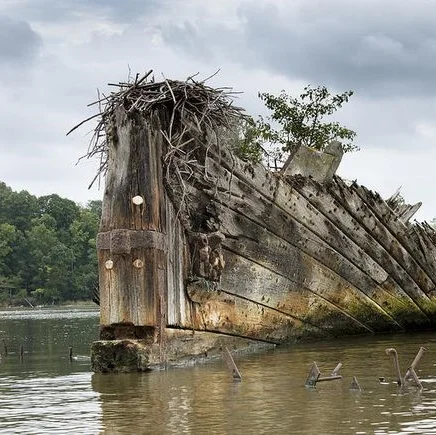 First of Its Kind Virtual Tour Offers Views of the Potomac at Mallows Bay