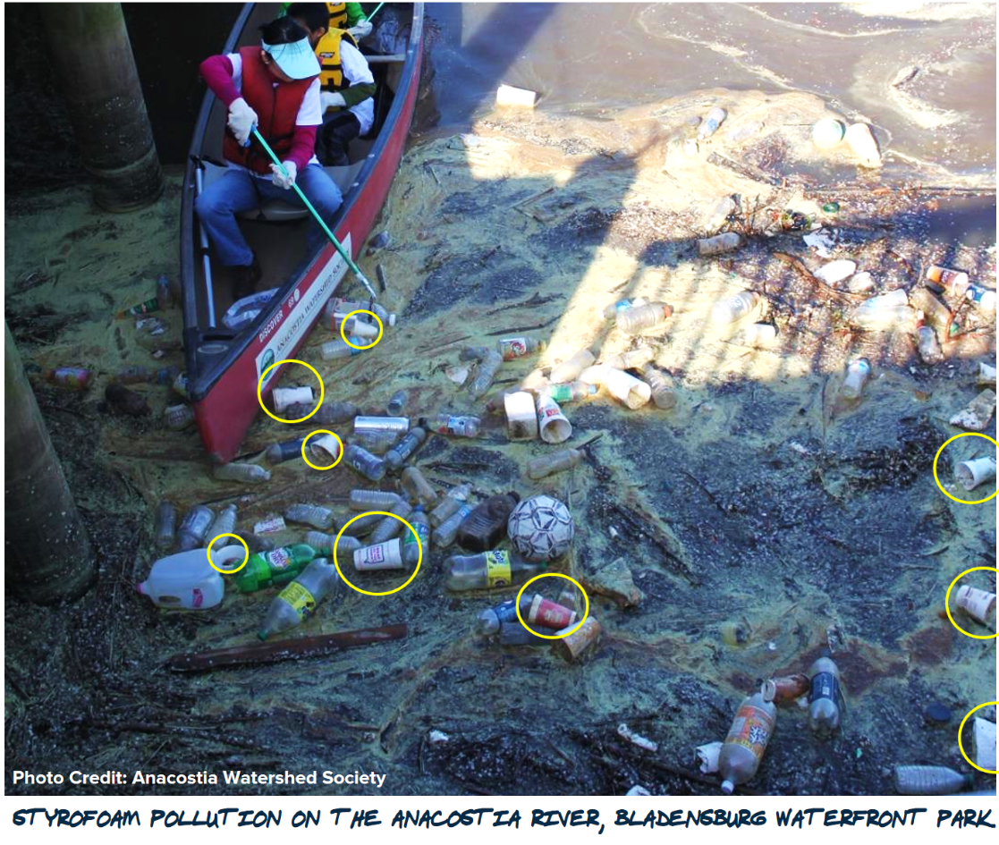 Syrofoam pollution on the Anacostia River at Bladensburg waterfront park. Photo credit: Anacostia watershed society