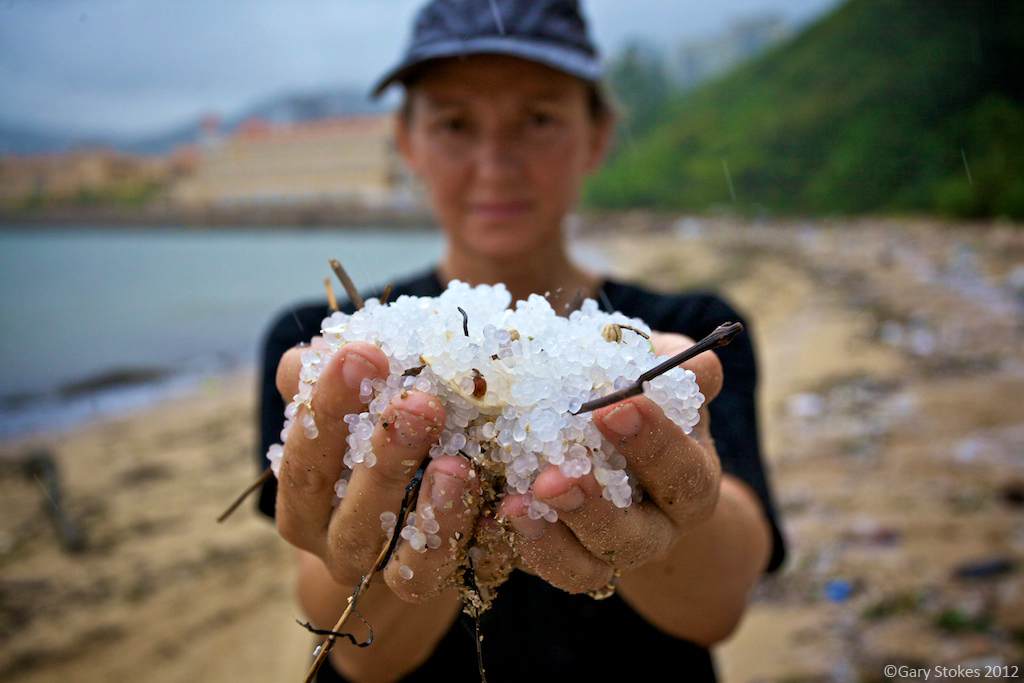 microbead pollution