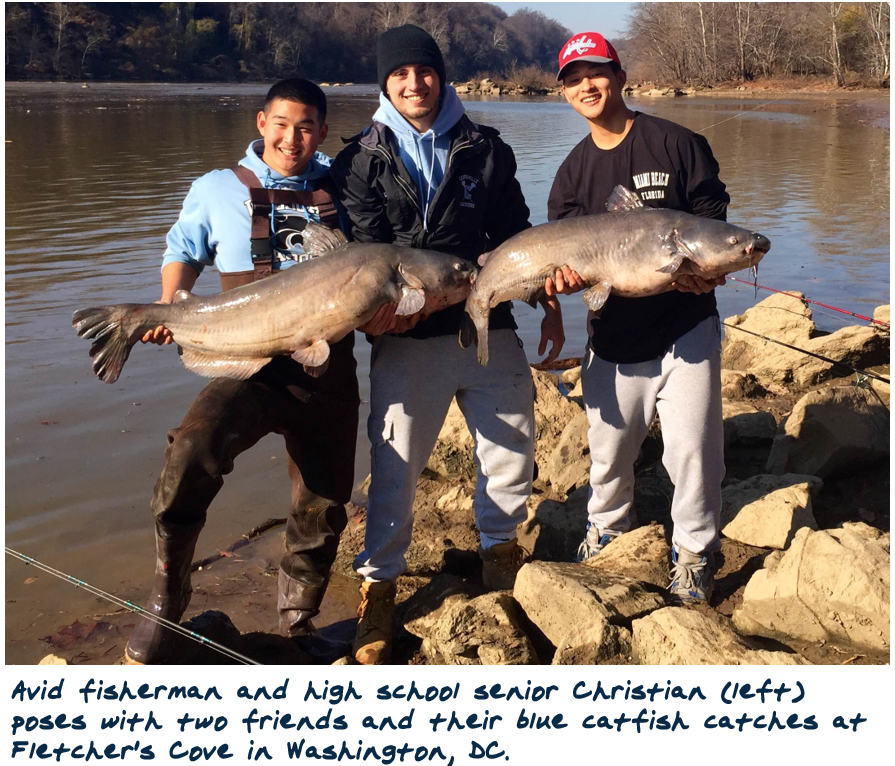 potomac river blue catfish