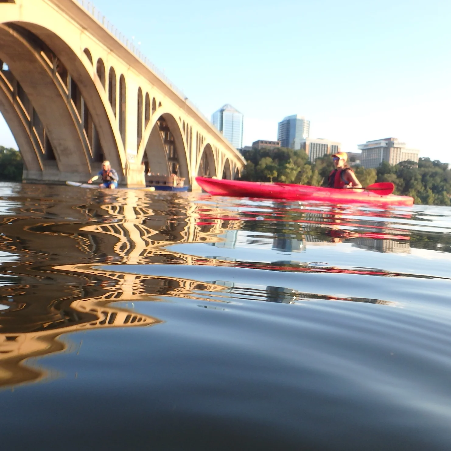 Potomac River is the healthiest it's been in decades
