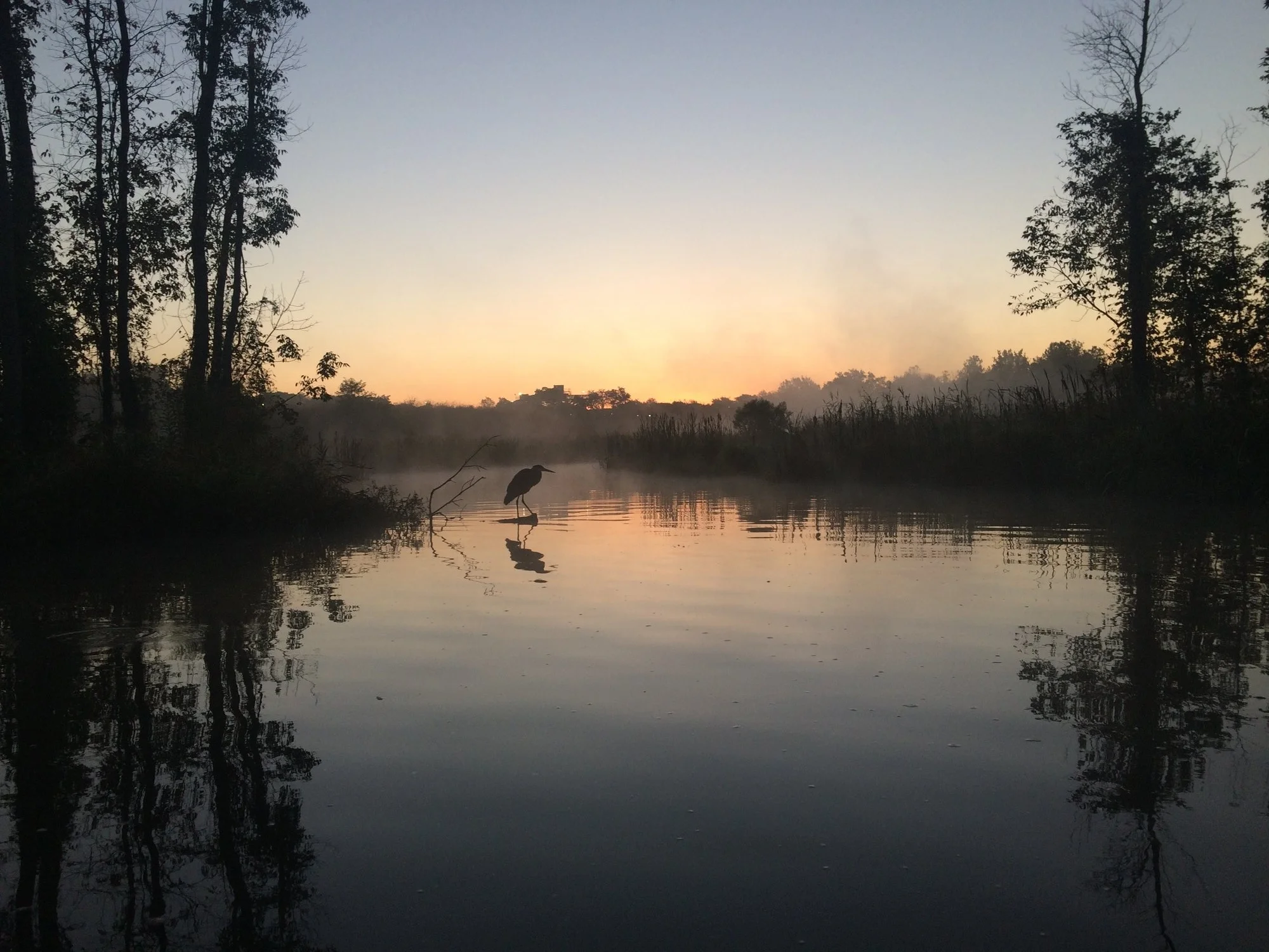 Photo by Jo-Elle Burgard/Anacostia Watershed Society