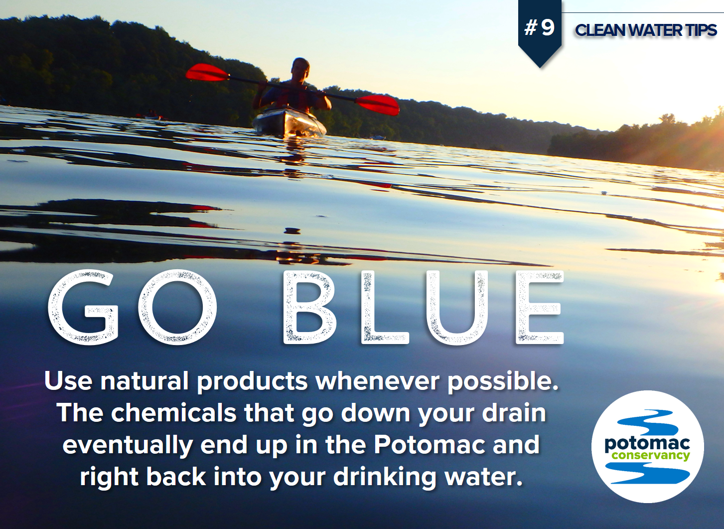 chemical pollution potomac river