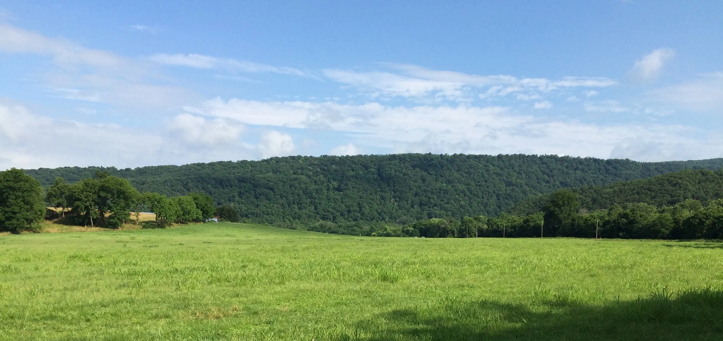 WHM from Dovedale_byBrianEglingerJuly2016.JPG