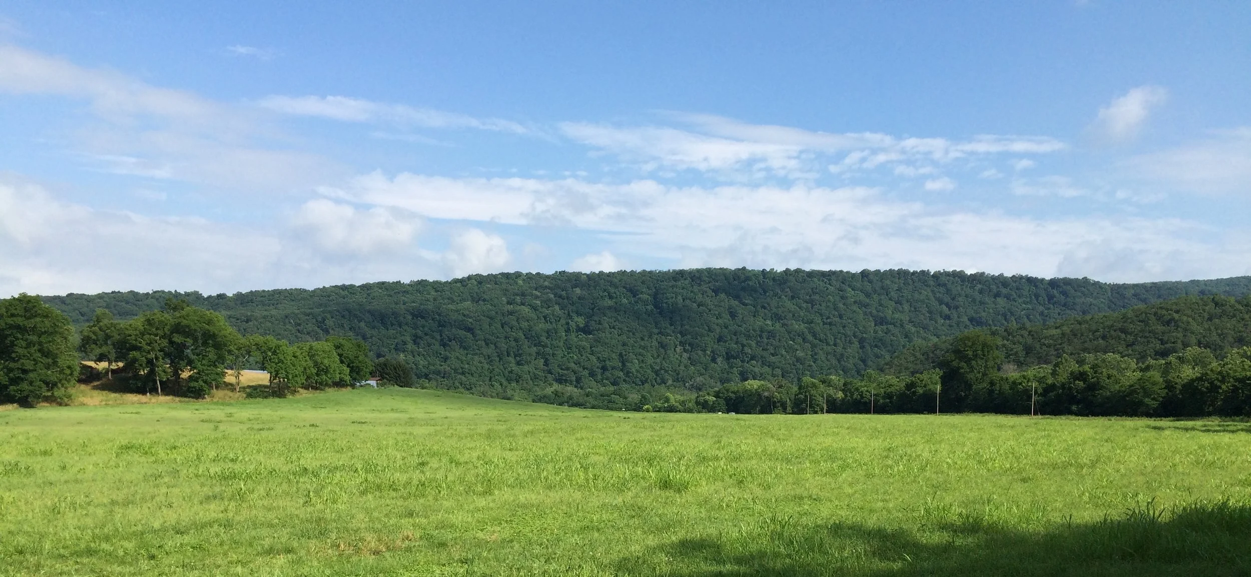 WHM from Dovedale_byBrianEglingerJuly2016.JPG