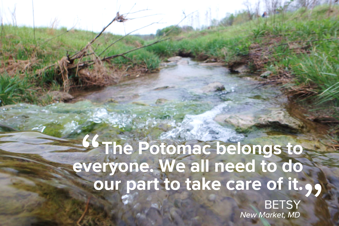 Clean Water Advocacy Potomac Conservancy