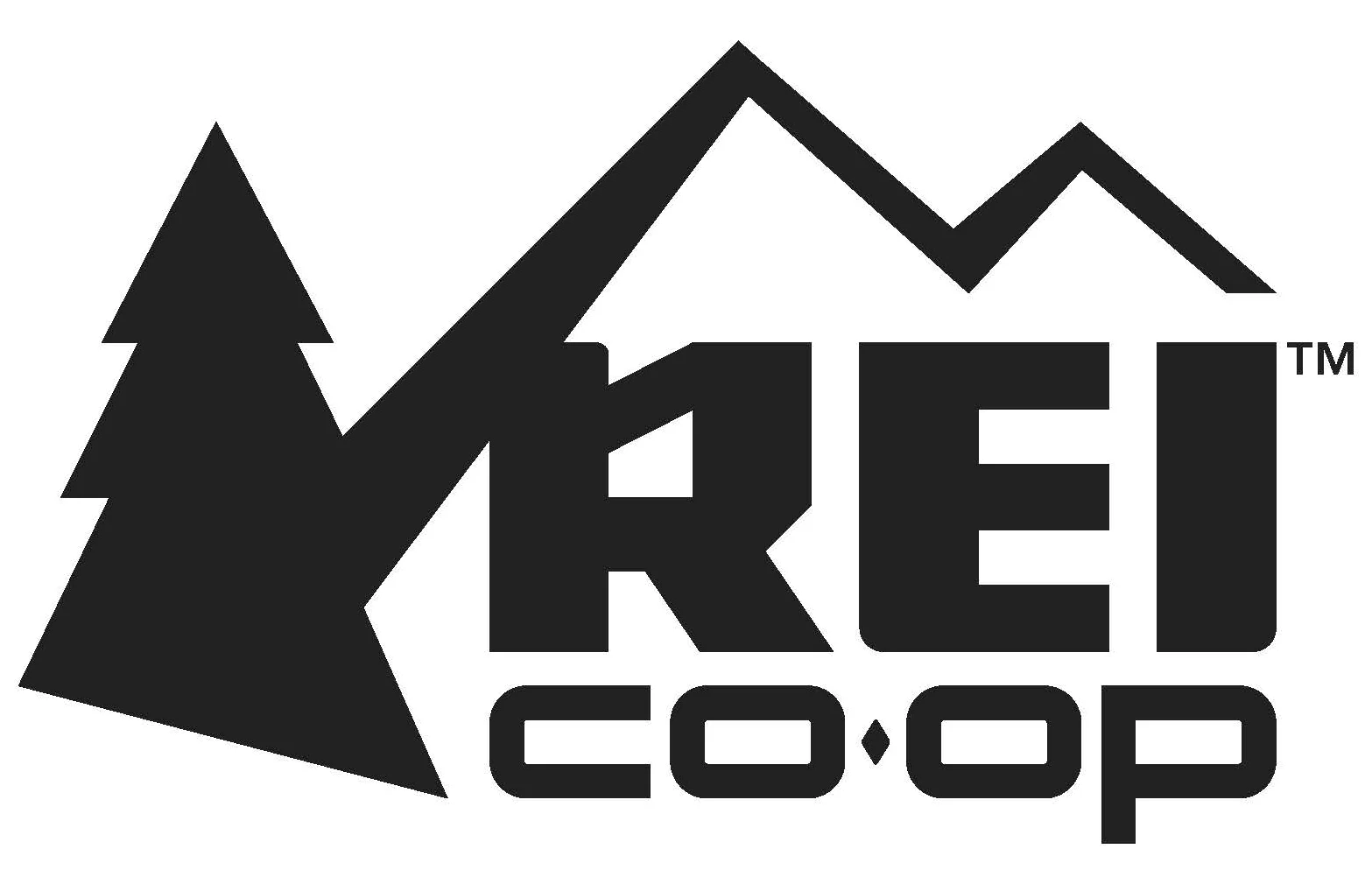 REI logo small Updated May 2017.jpg