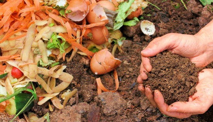 compost.png