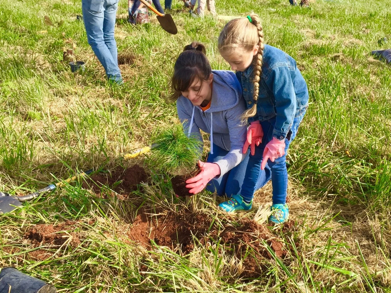 tree planting.jpg