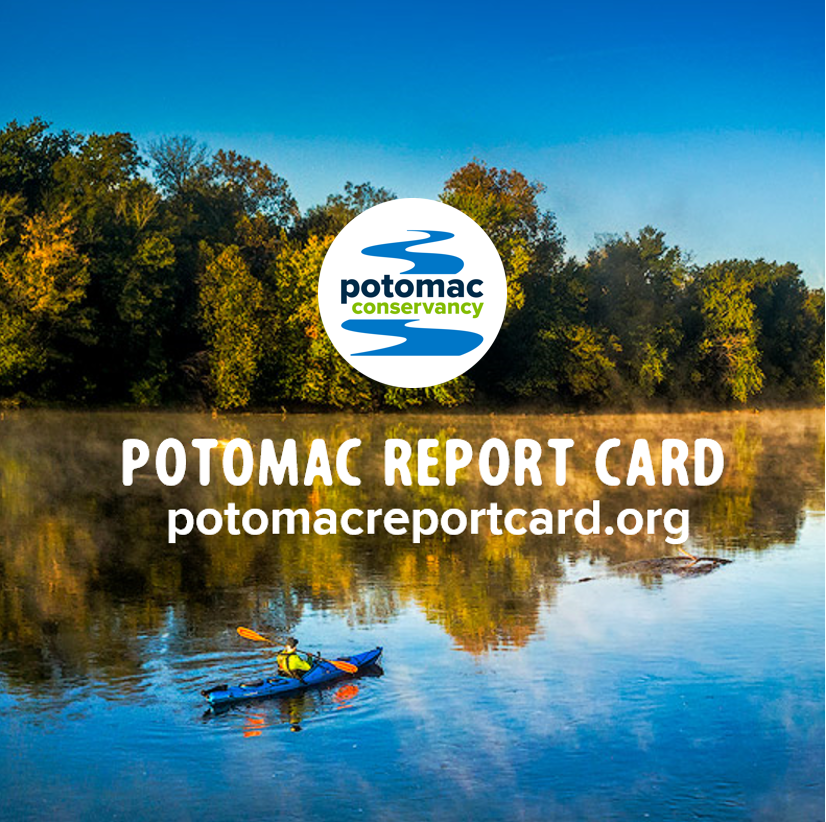 Potomac River's health improves to a B, its highest grade ever