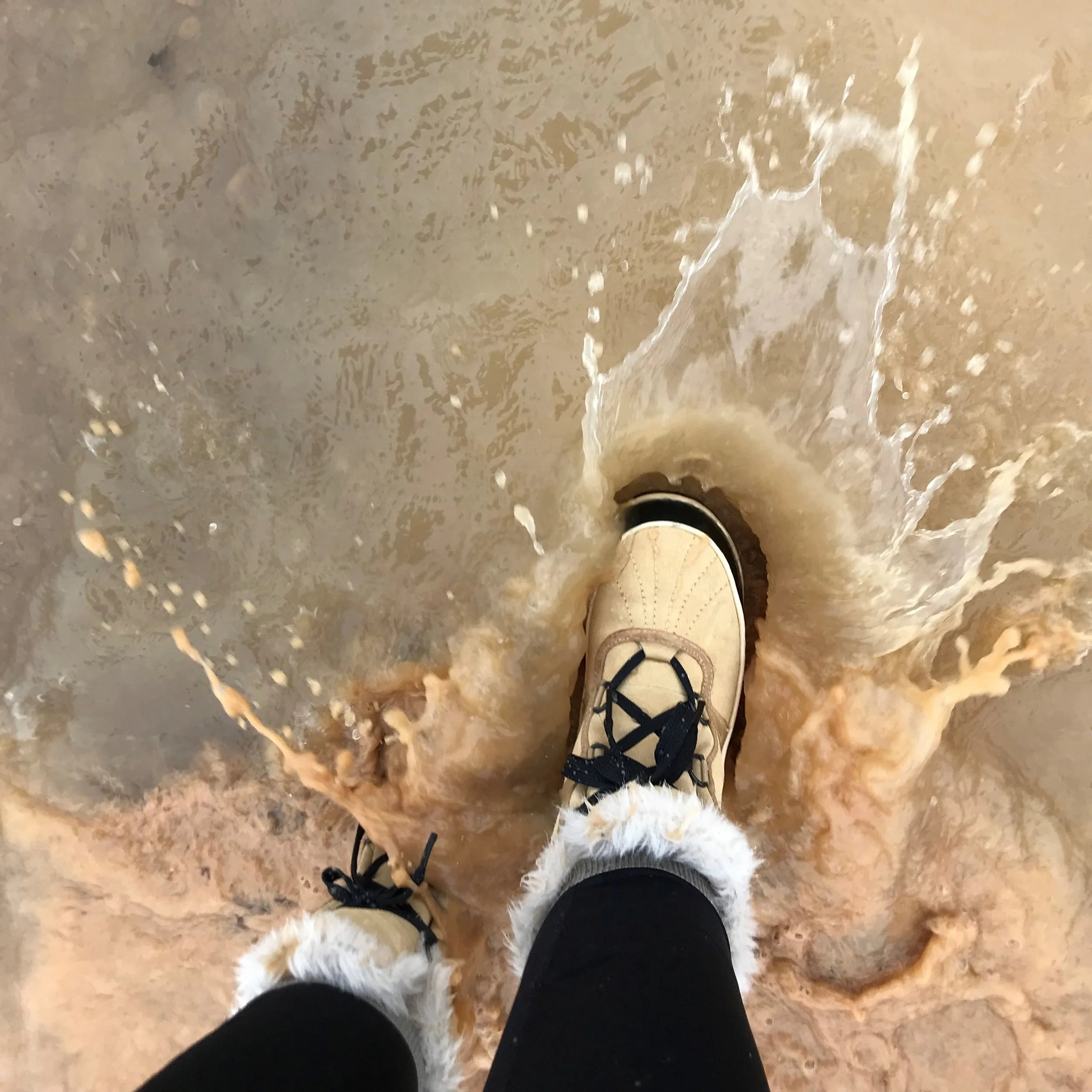 Photo Essay: Take a rainy day hike on an overlooked local trail