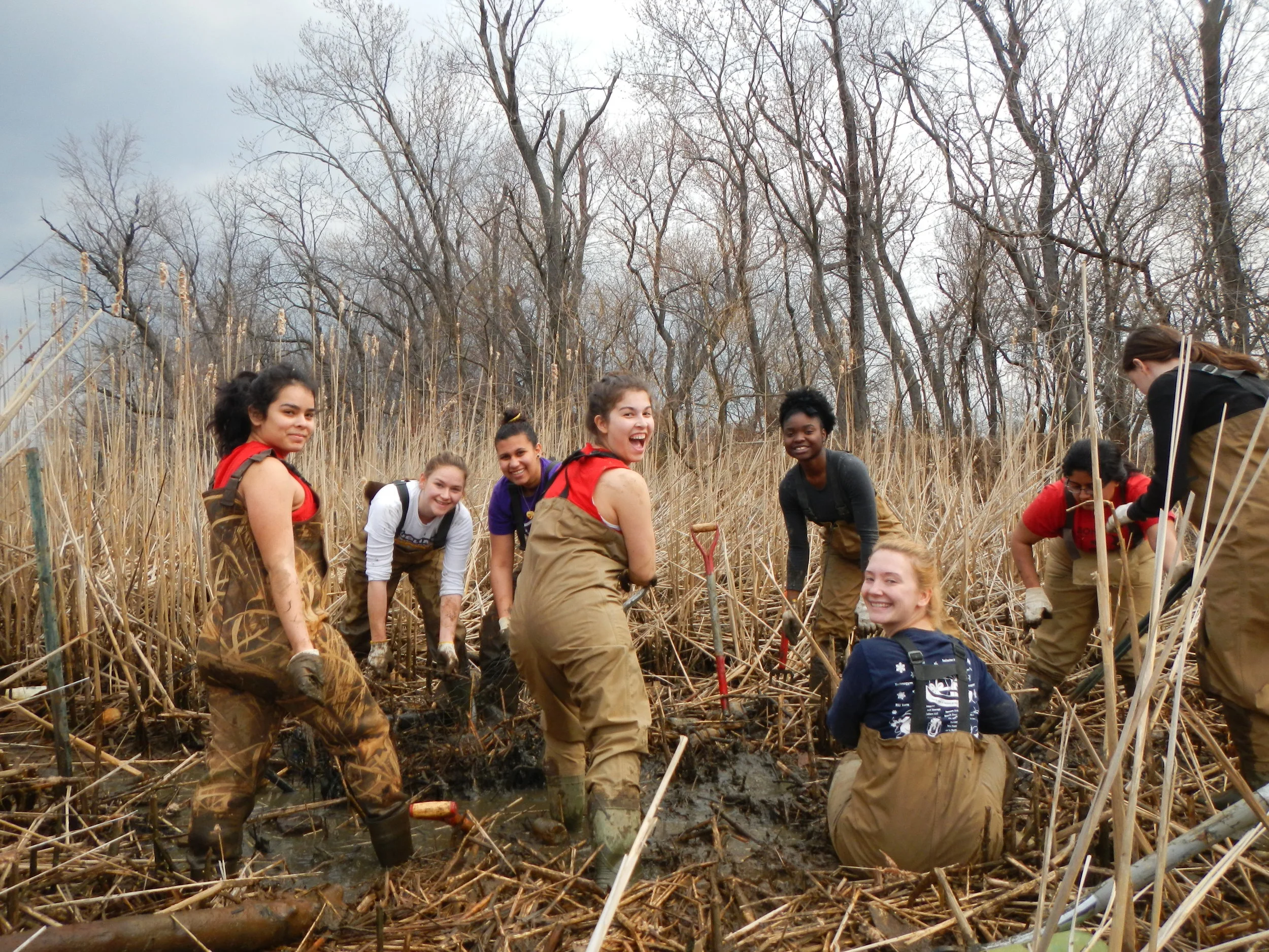 watershed workday.jpg