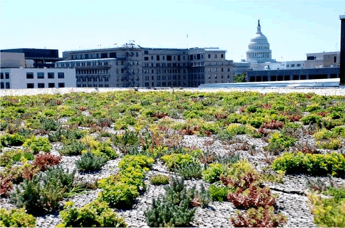 green roof.gif