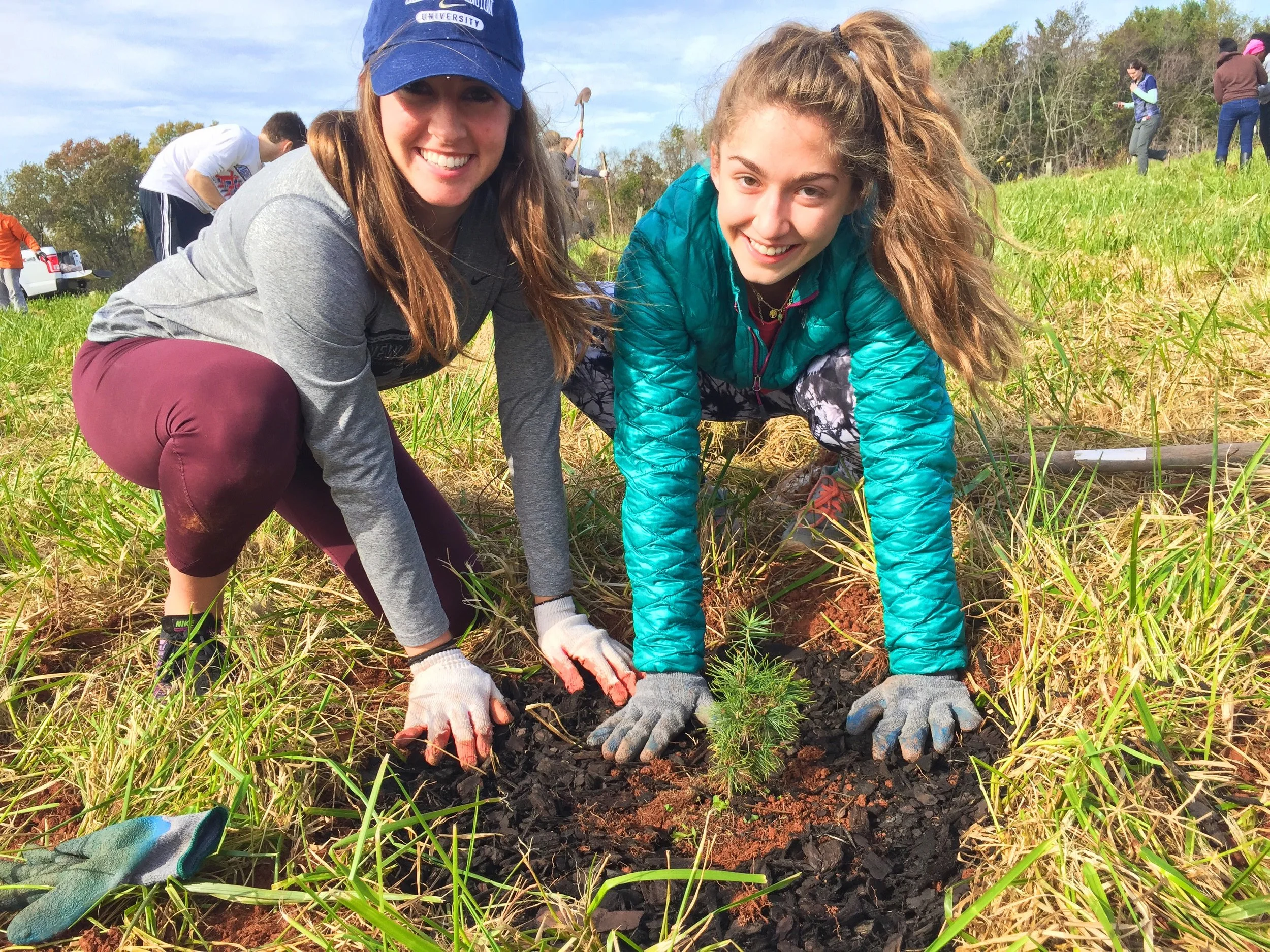 SOLD OUT: Growing Native Tree Planting in Arlington! — Potomac Conservancy