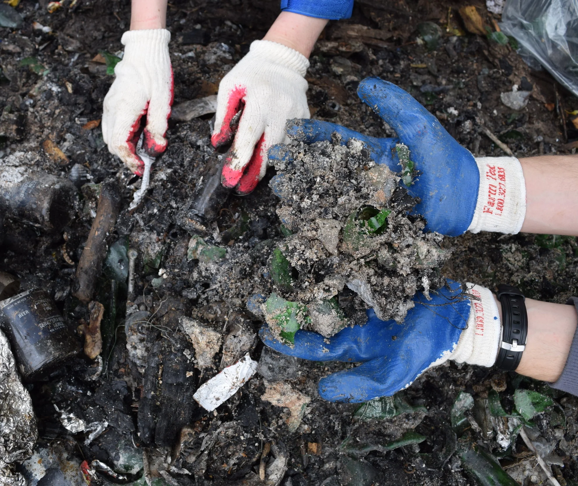 Get Your Hands Dirty for Clean Water... and Wildlife!