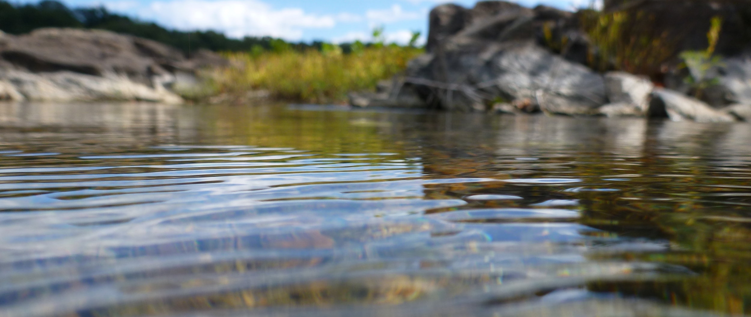 Minnehaha Island - 2014 2.JPG