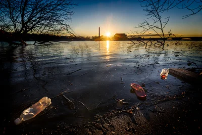 The Potomac is trashed with plastic litter - Here are the top 5 plastics we're finding