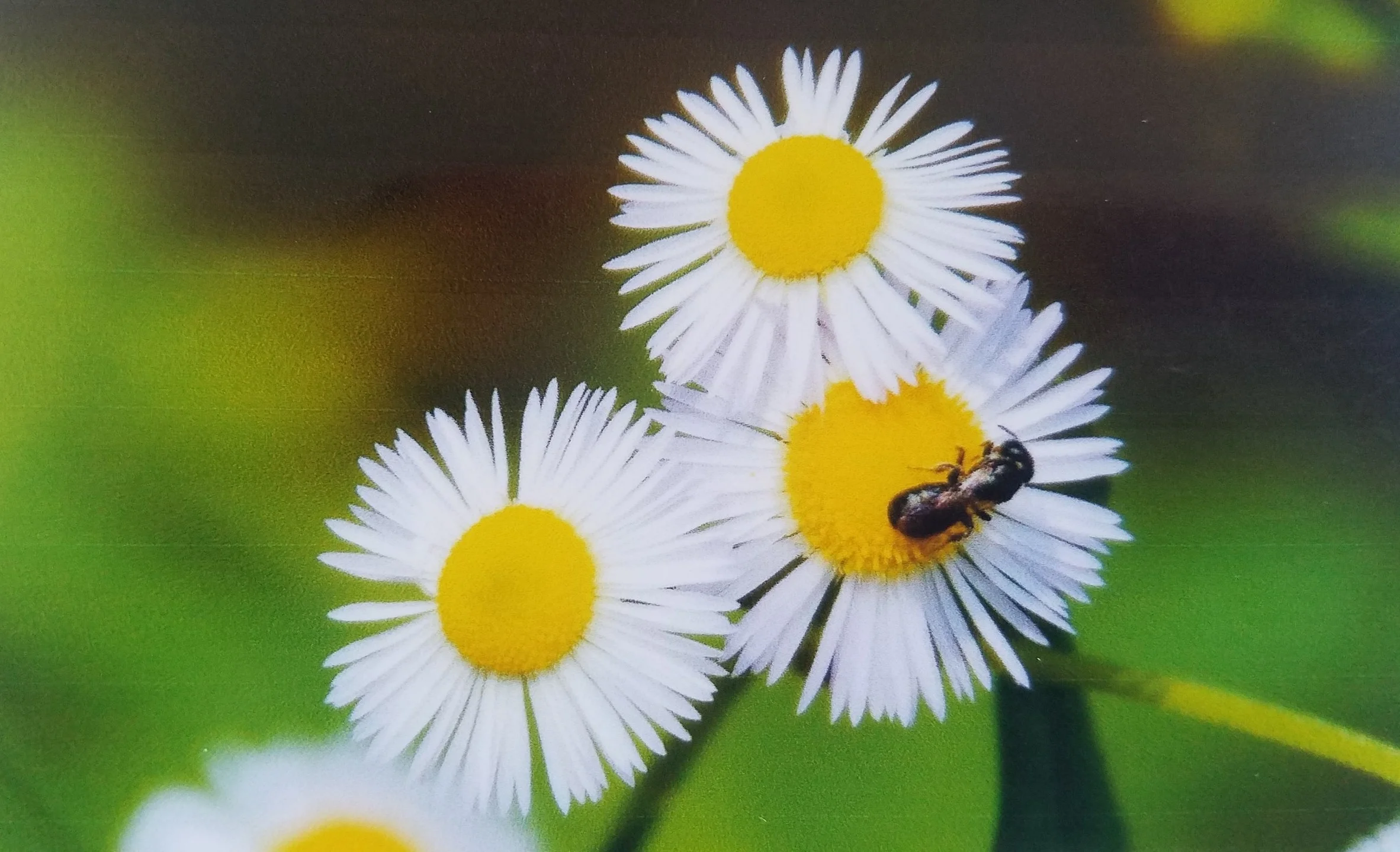 photo by doug halverson