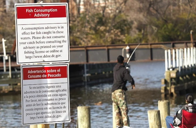 A SiGN ON THE ANACOSTIA RIVER WARNS AGAINST FISH CONSUMPTION DUE TO CONTAMINANT LEVELS. PHOTO BY DAVE HARP/BAY JOURNAL .