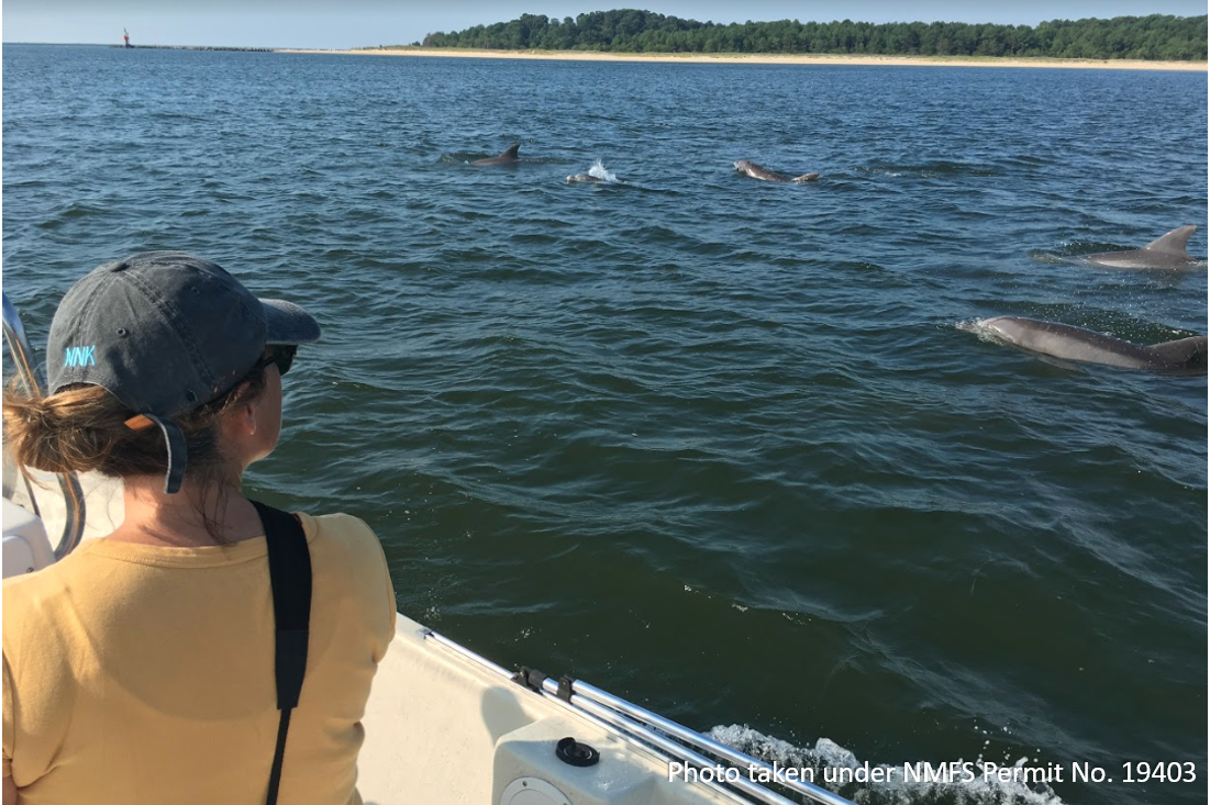 research team 2a.PNG