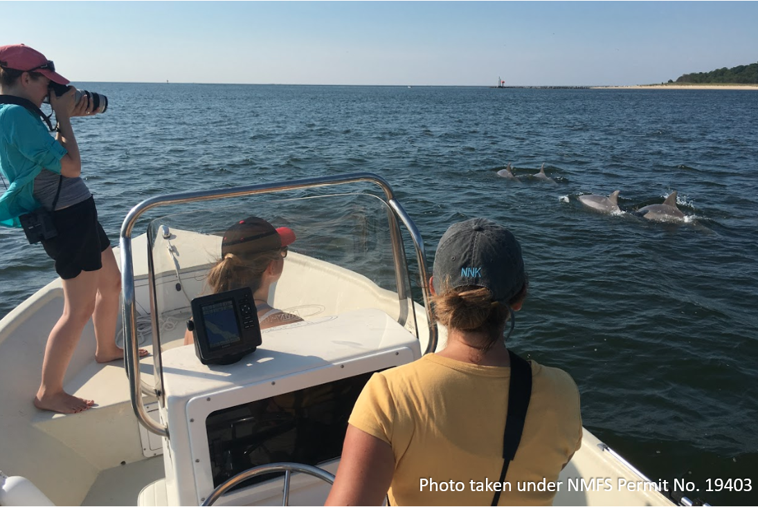 research team 1a.PNG