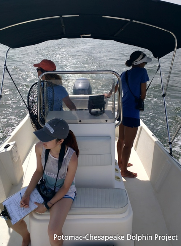 research boat 1a.PNG