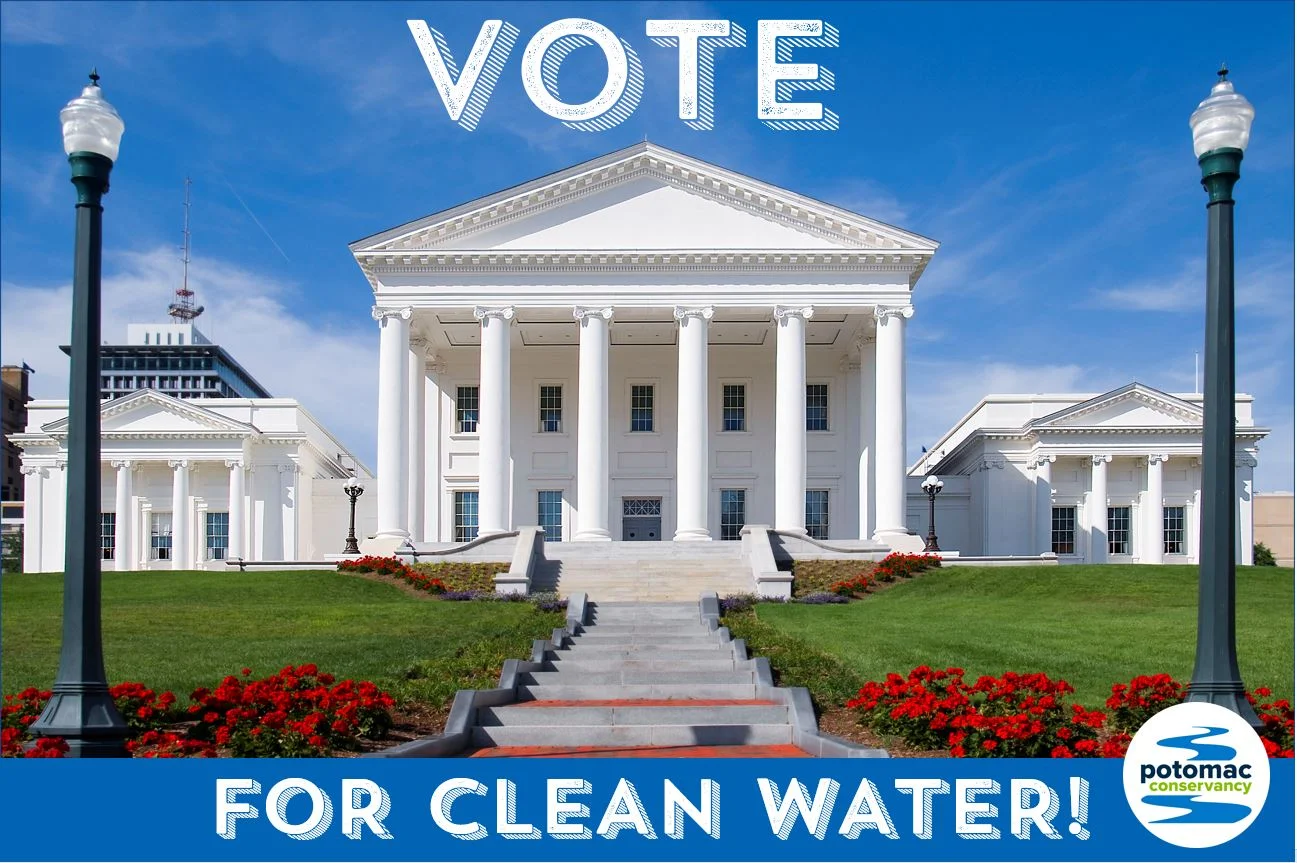 Virginia needs YOU - to vote!