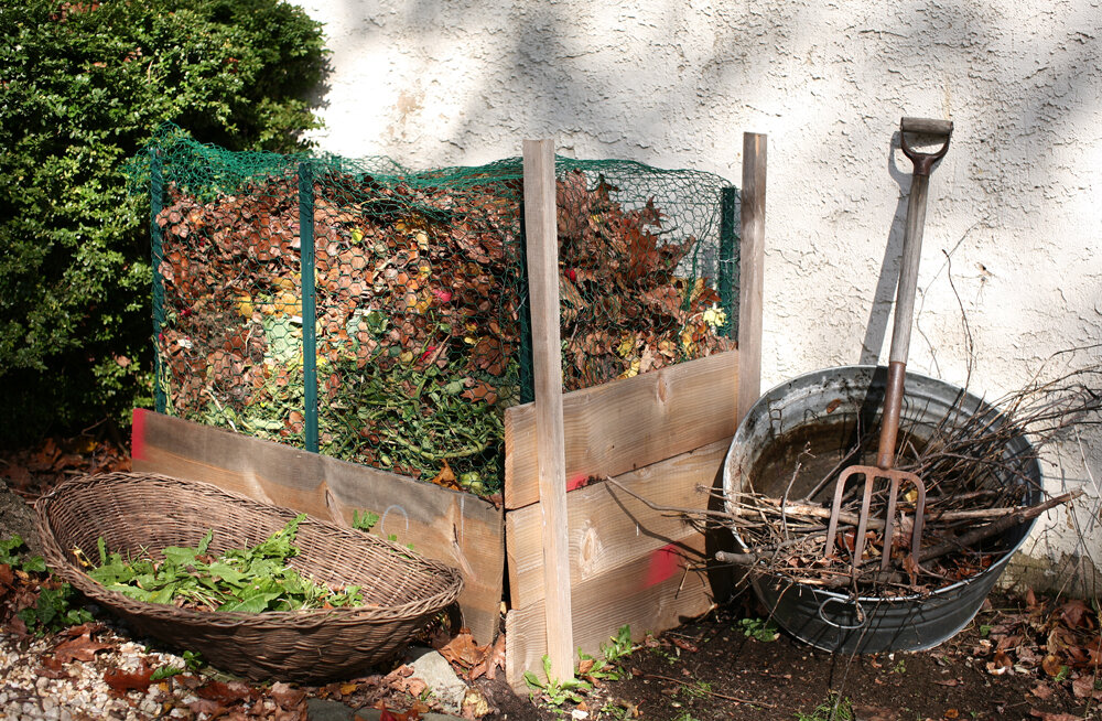 Fall Leaves in a Compost Pile. Photo courtesy of Christopher Paquette .