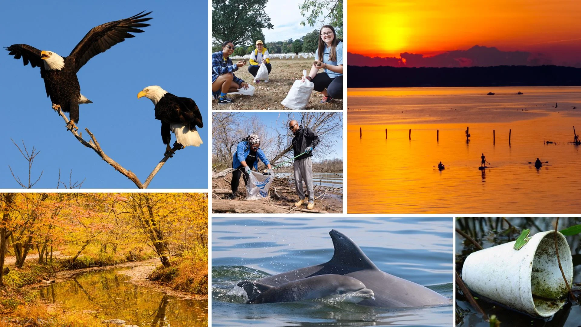 7 Potomac success stories to be thankful for this year