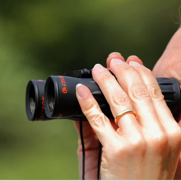 Ask An Expert: How to become a birder