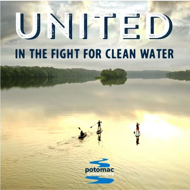 Moving forward for the Potomac River and our community