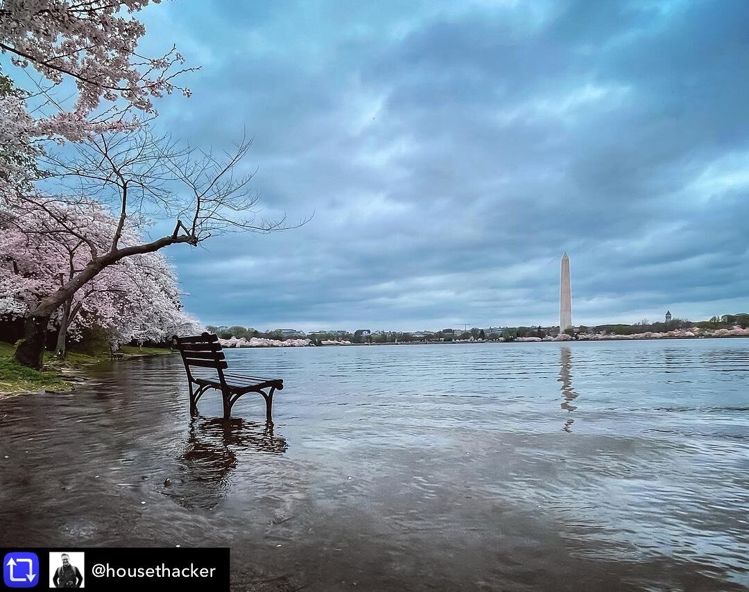 Did you know that sea level rise in the Potomac River region is happening at twice the global average rate? A combination of climate change and a phenomenon called &quot;glacial rebound&quot; means we really need our local leaders to focus on climate
