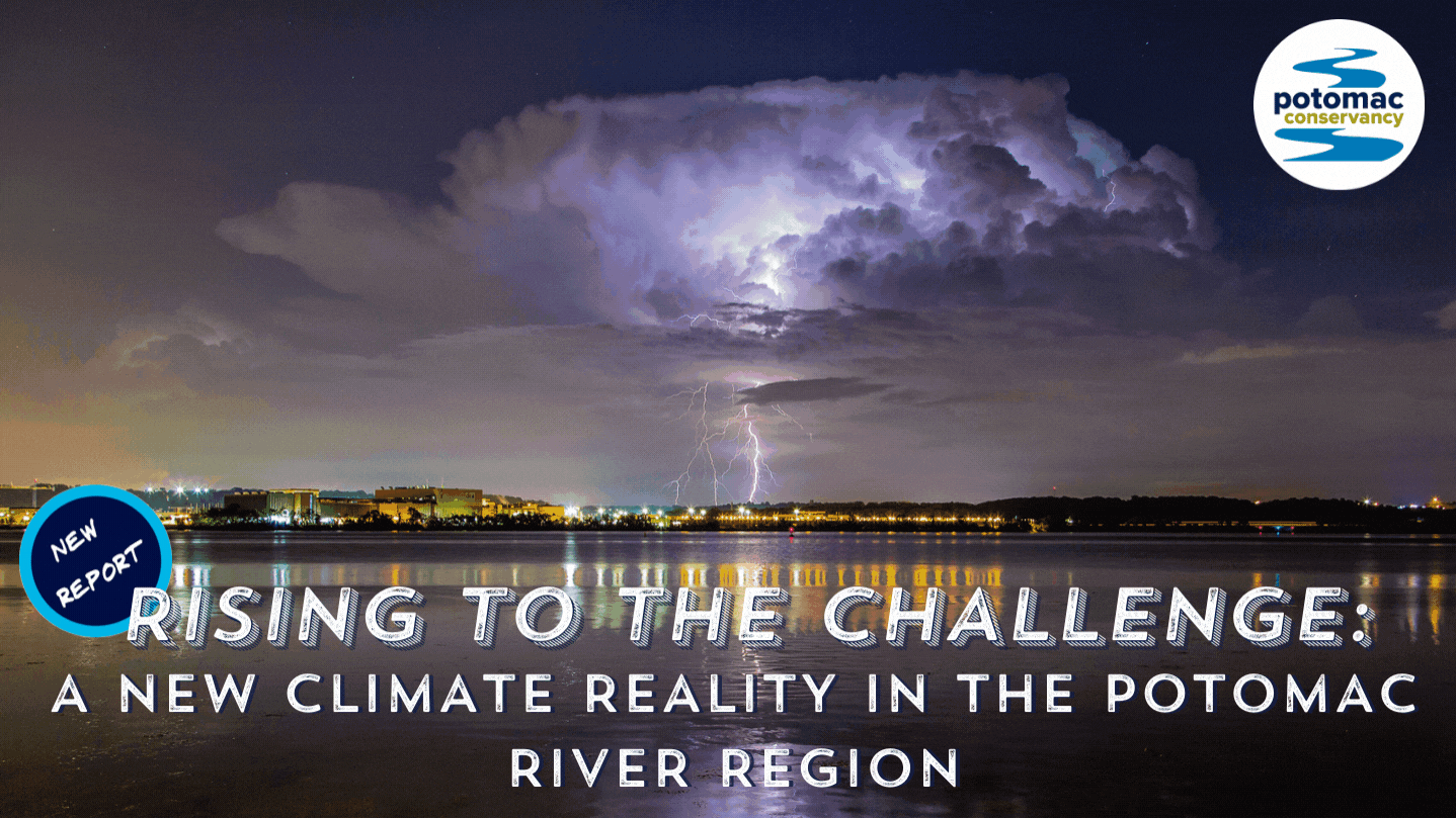 Rising to the Challenge: A New Climate Reality for the Potomac River