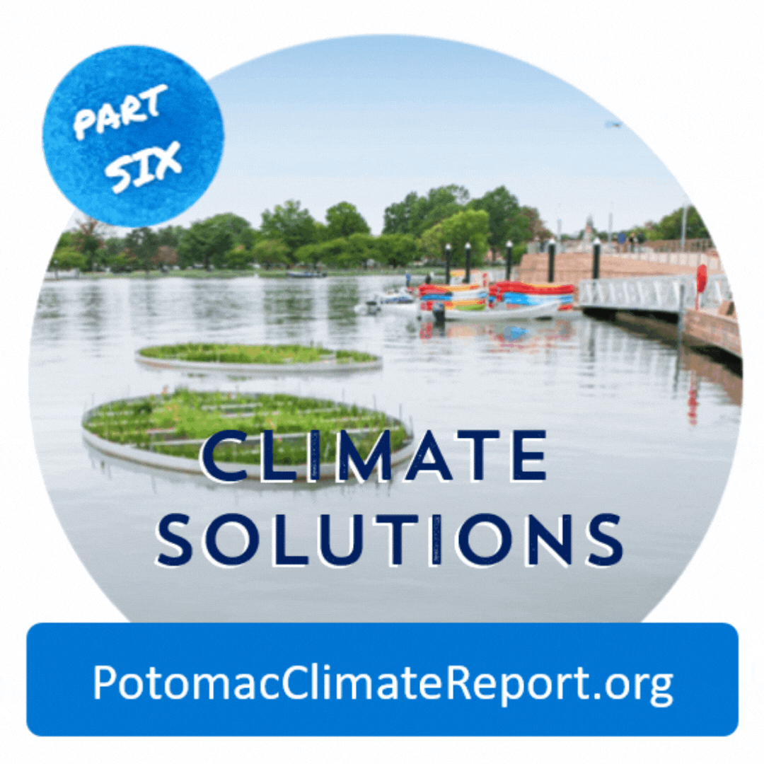 Potomac Conservancy concludes the region’s first comprehensive climate series — Here’s what we learned