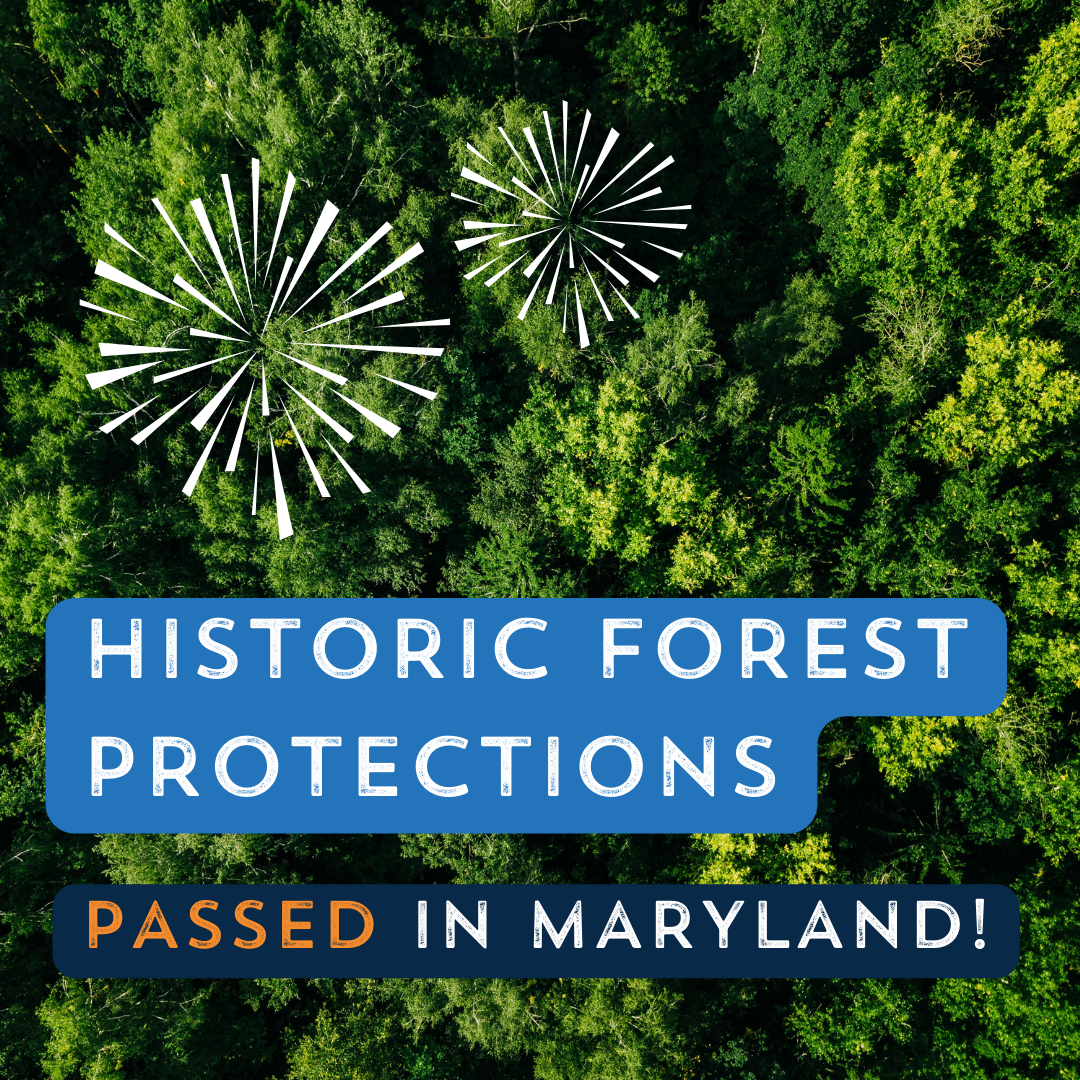 Maryland passes historic forest protection legislation