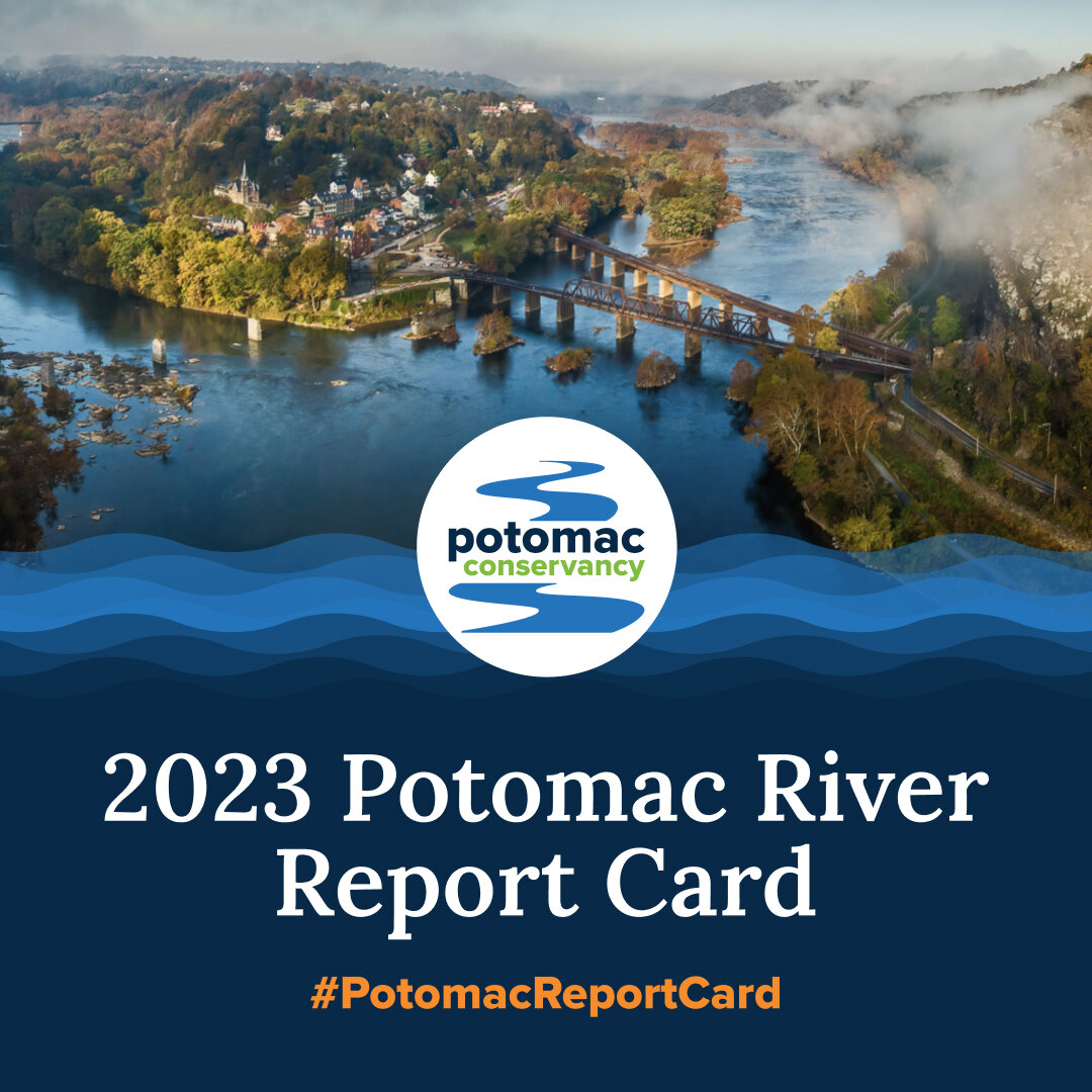 The #PotomacRiver just got a new health grade! 💧

Is our hometown river doing better or worse? And why can't we swim in it just yet? 👀

Learn the Potomac's new grade and what it's going to take to make our waters swimmable and fishable at PotomacRe