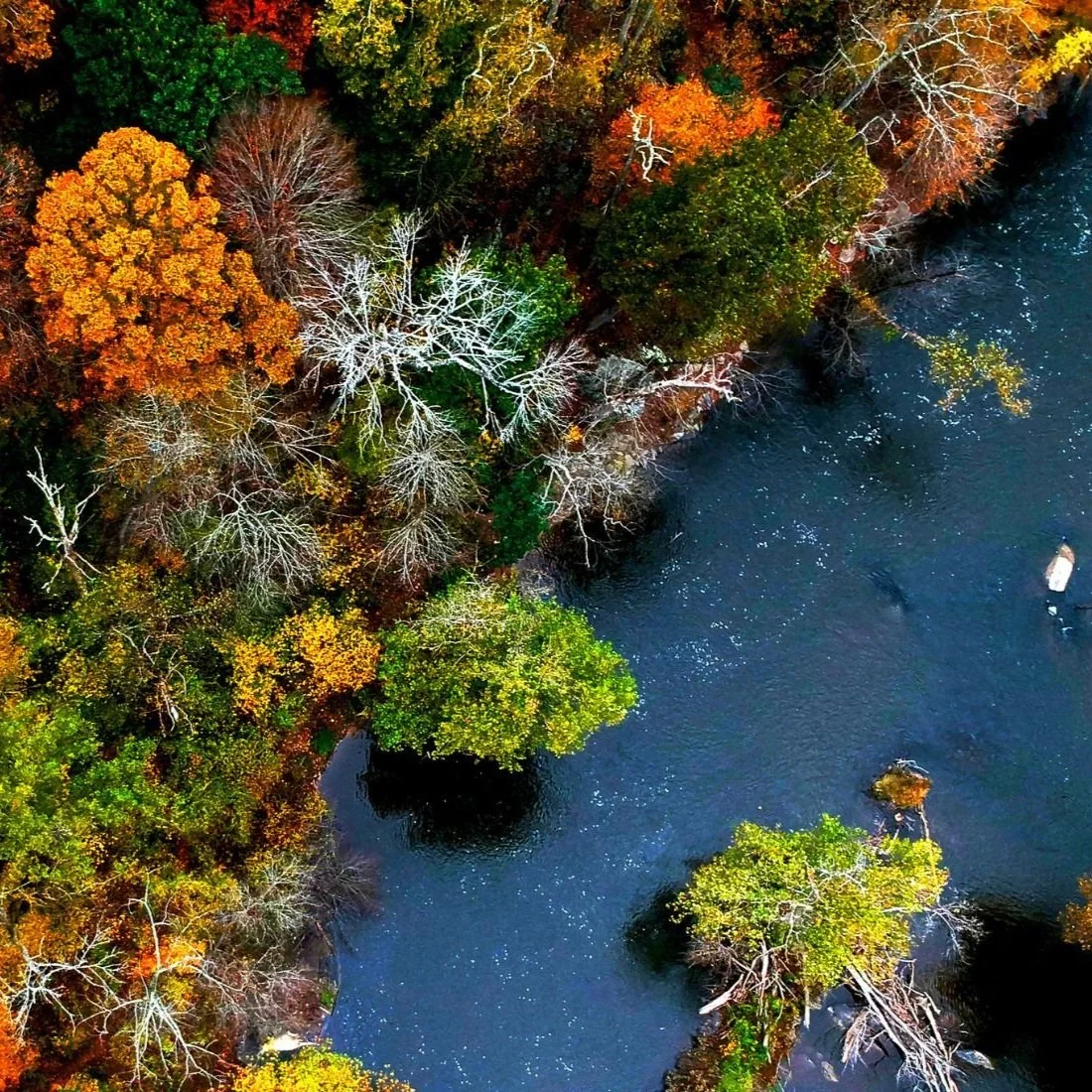 QUIZ: If you ace this, you’re ready for a Potomac River category on Jeopardy!