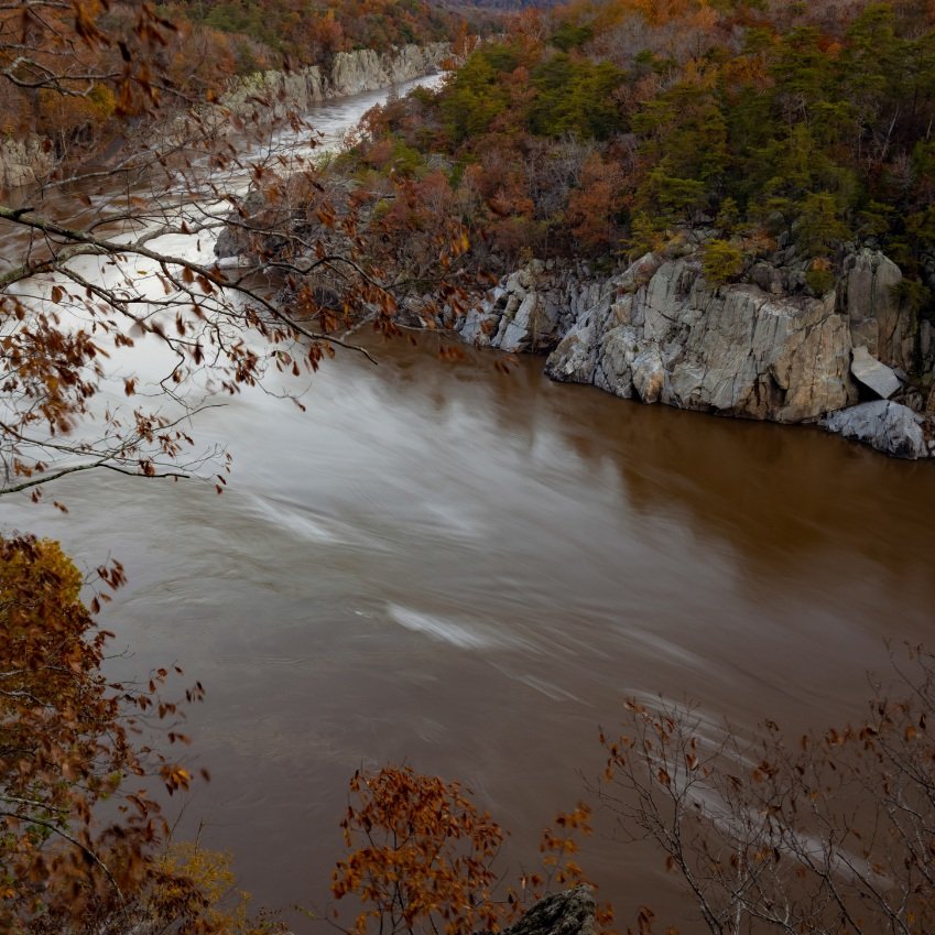 Potomac Conservancy’s Indigenous allyship commitment