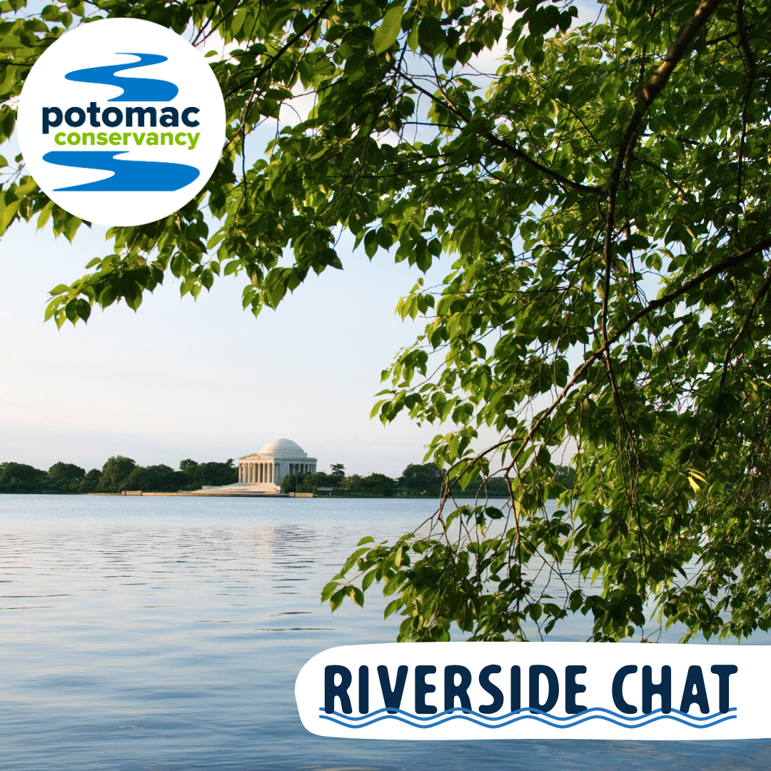 Learn about the history of swimming in the Tidal Basin
