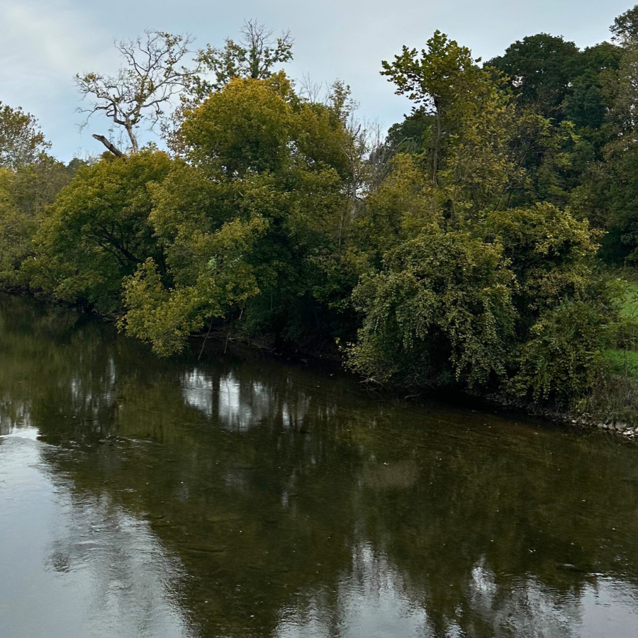 Local Potomac River streams are benefiting from your advocacy, with the leadership of Catoctin Land Trust