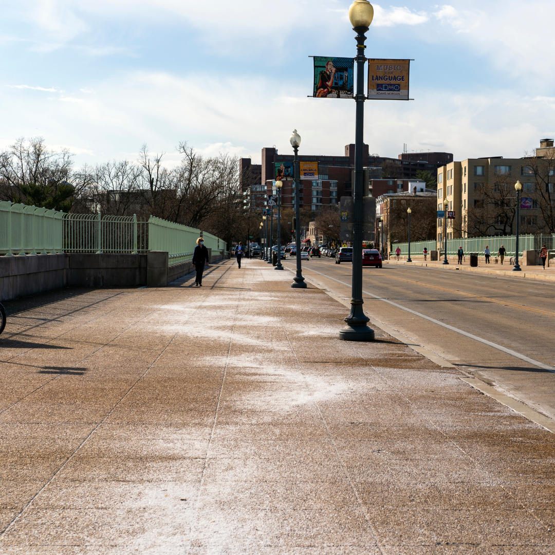 Salt creeping into the Potomac River endangers local ecosystems and the region’s drinking water 
