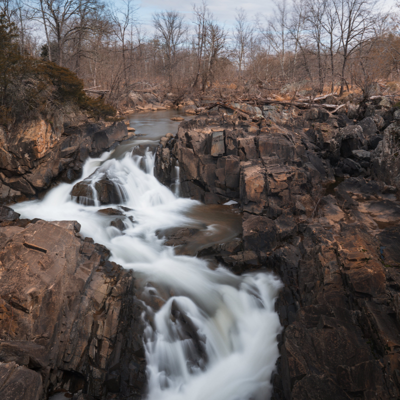 2026 State Legislative Preview: Protecting Critical Conservation Funding&nbsp;