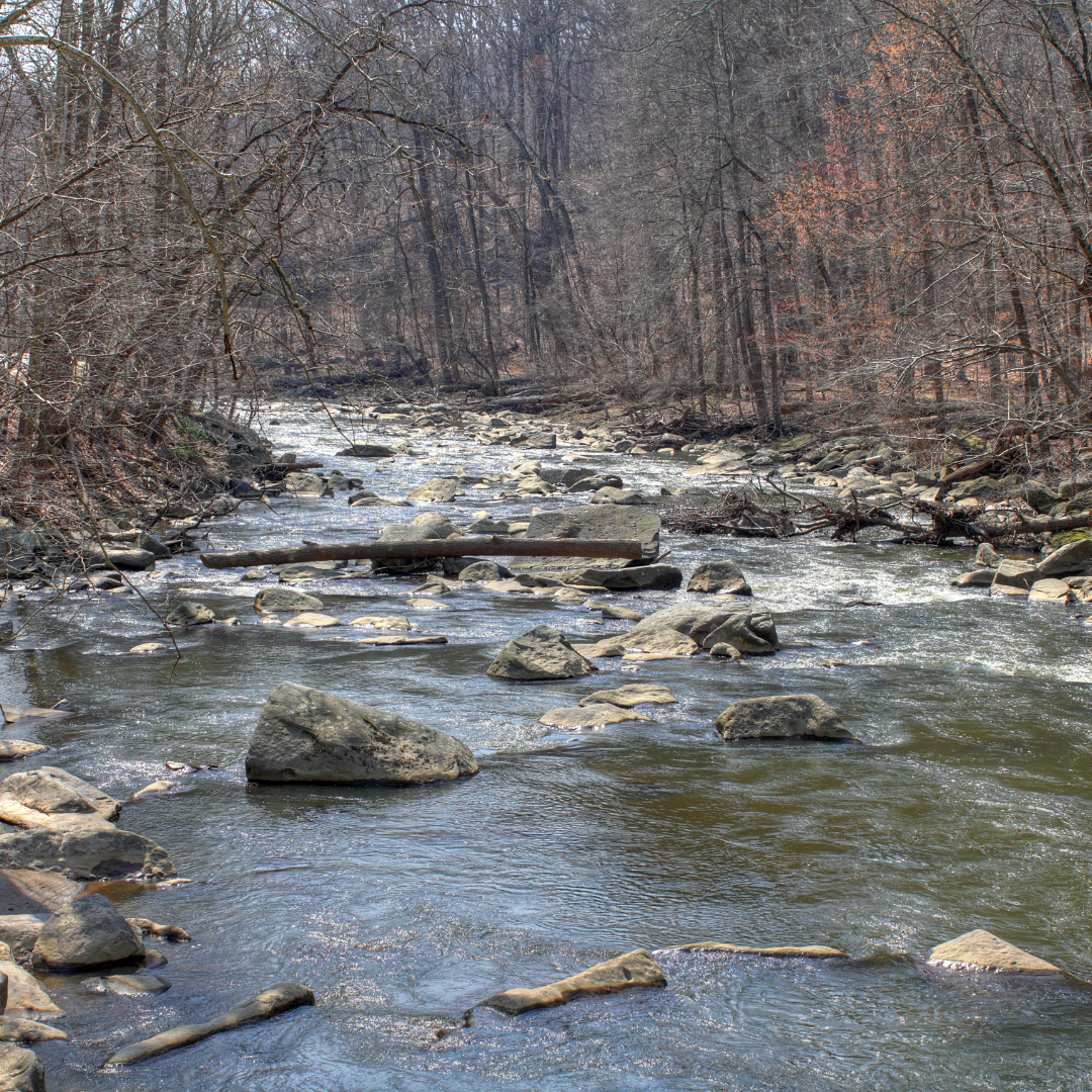 Why paying attention to small streams matters in the big picture of Potomac River water quality  